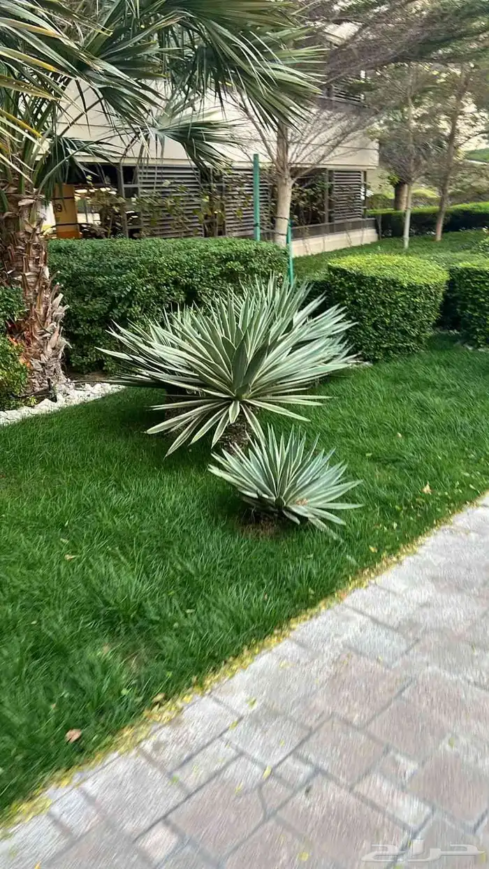 عمل وتنفيذ الحدائق باسلوب مميز 6