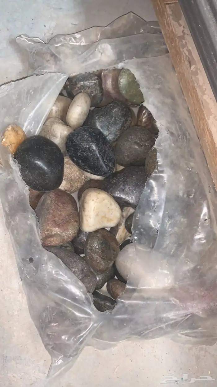 تنسيق حدائق 7