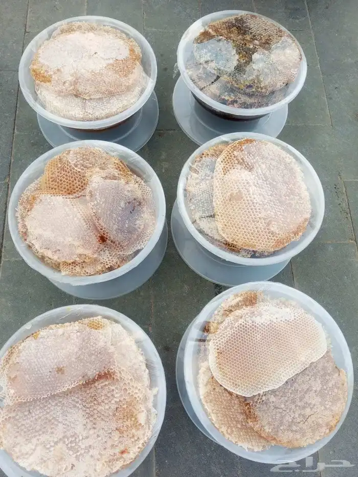 عسل طبيعي بلدي متنوع 4