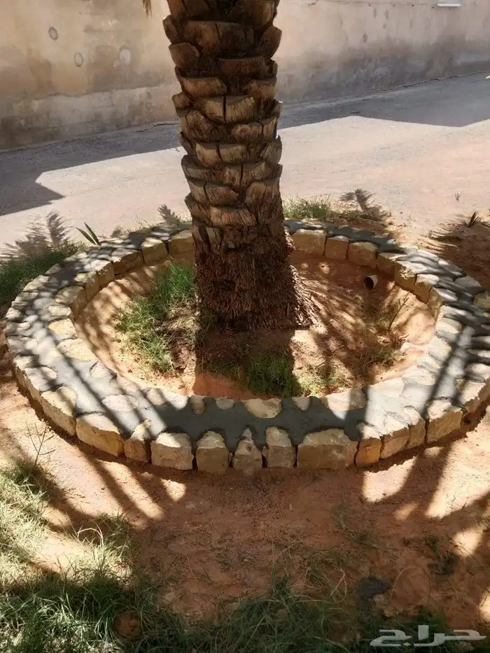 حجر غرفا حجر تمر 1