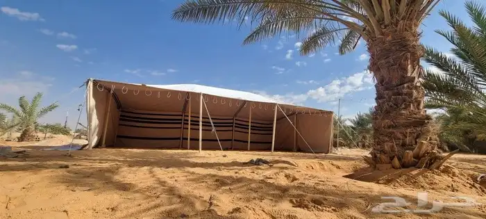 قطبة بيت شعر بدوي شمالي عمود خشب 2