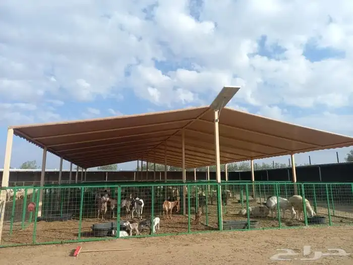 مظلات سواتر بيوت شعر قراميد مظلات سيارات ومظلات مواقف 2