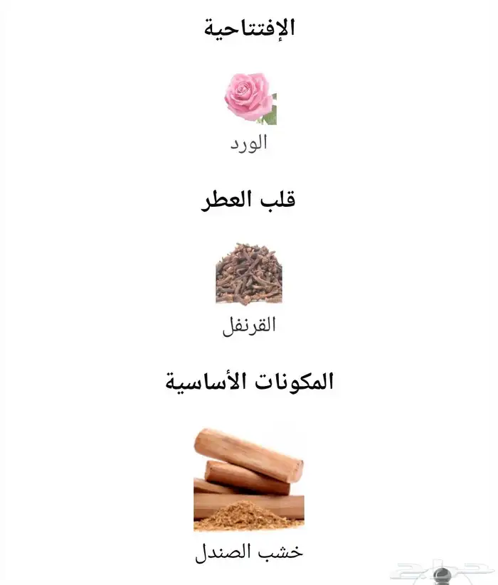دهن أمواج سانتال صحار 6