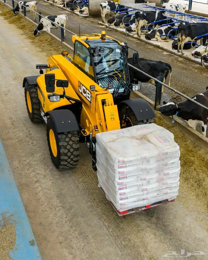 JCB telehandler for Rent رافعه تلسكوبيه للايجار 1