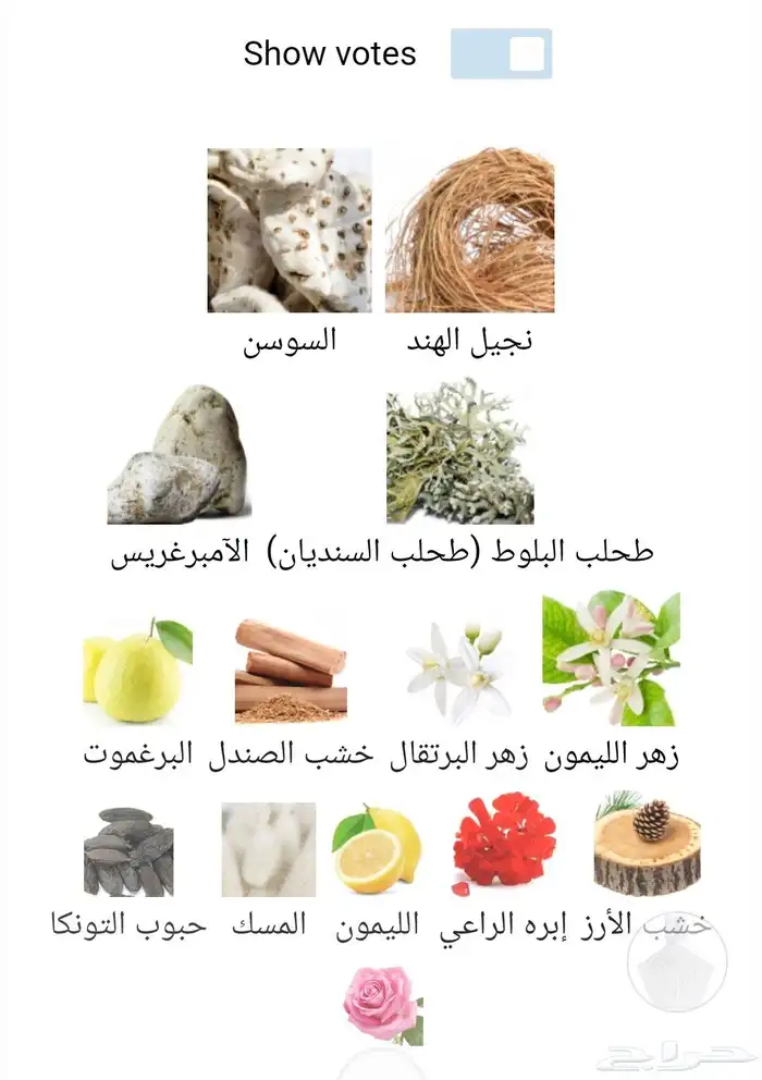 عطر اندي تاور اصدار محدود 4