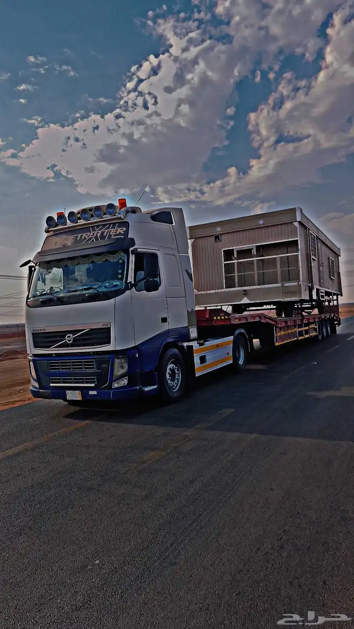 لوبد متواجد في الجوف ميقوع طبرجل 0