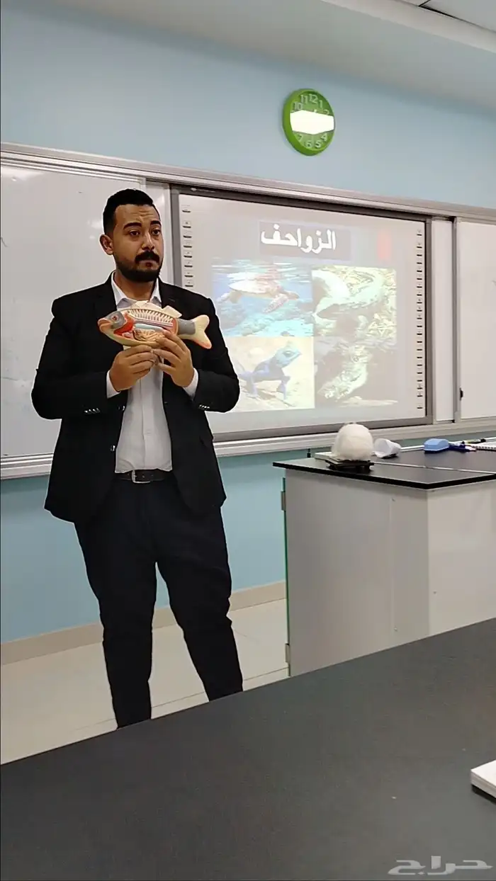 معلم تأسيس ومتابعه للمراحل الأولي و معلم مواد علميه المتوسطه 5
