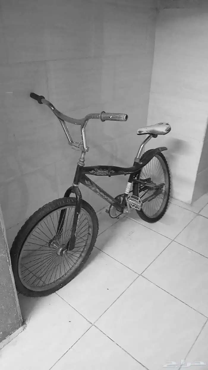 كوبرا مقاس 24 السعر 50 بس يحتاج جنط خلفي الموقع المدينة المن 0