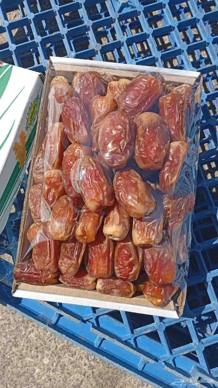 لبيع صقعي ناشف ولين معرم كليوين واربع طيب. تواصل تواصل 0