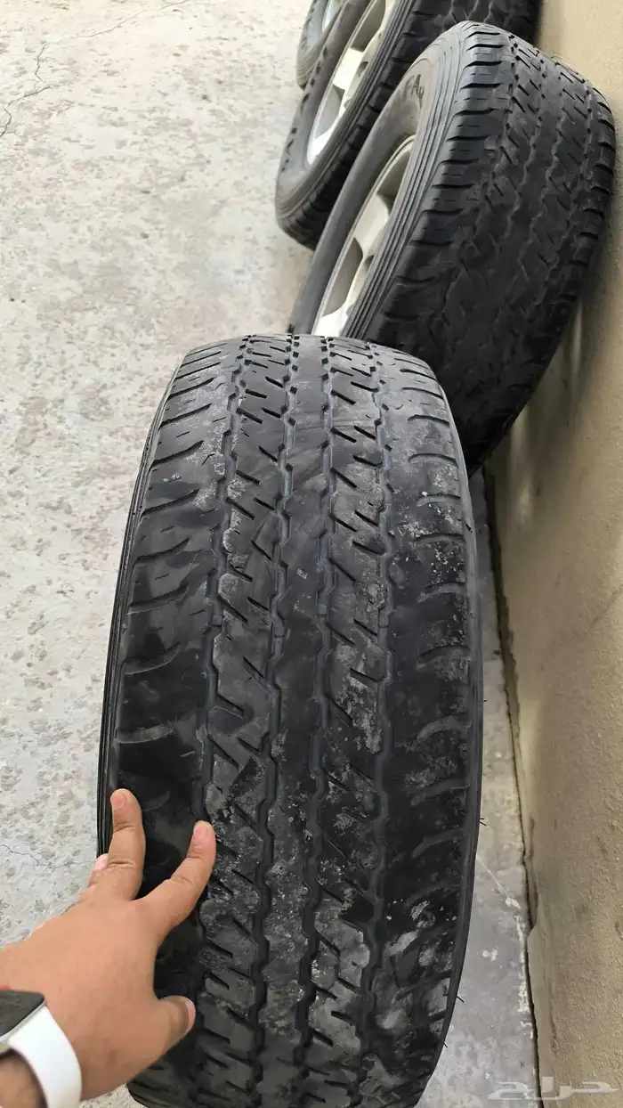 جنوط اف جي 1