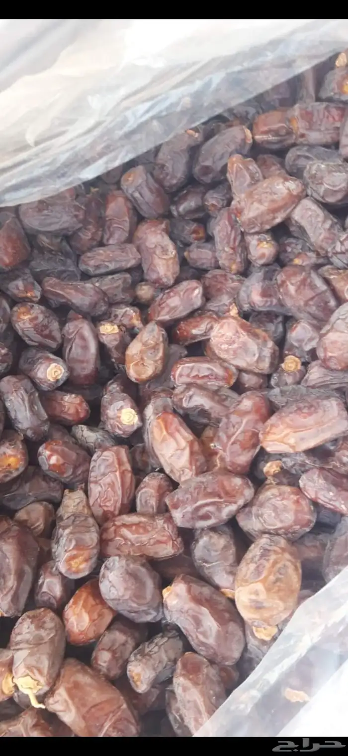 الف كرتون تمر خضري 2