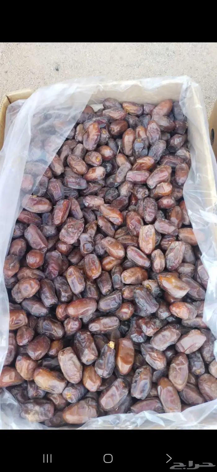 الف كرتون تمر خضري 0