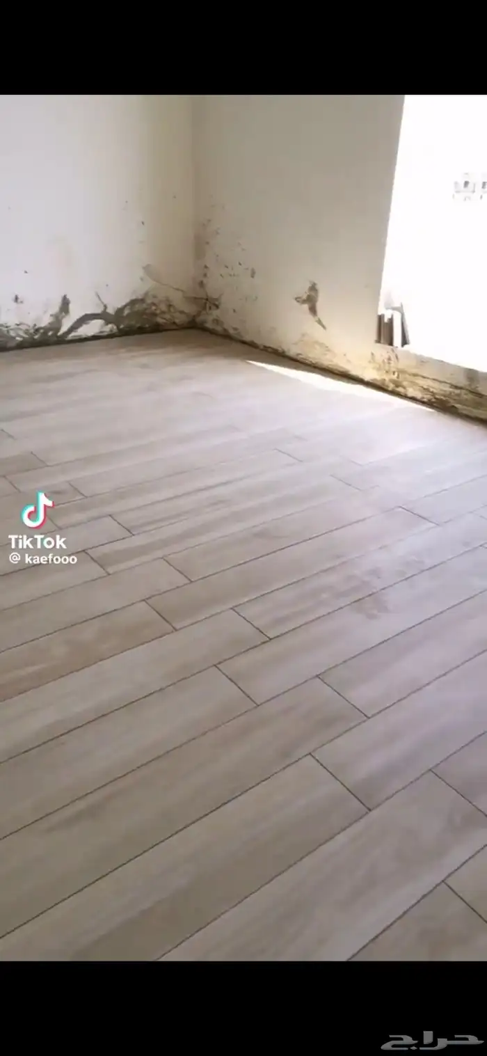 مخرج29 3