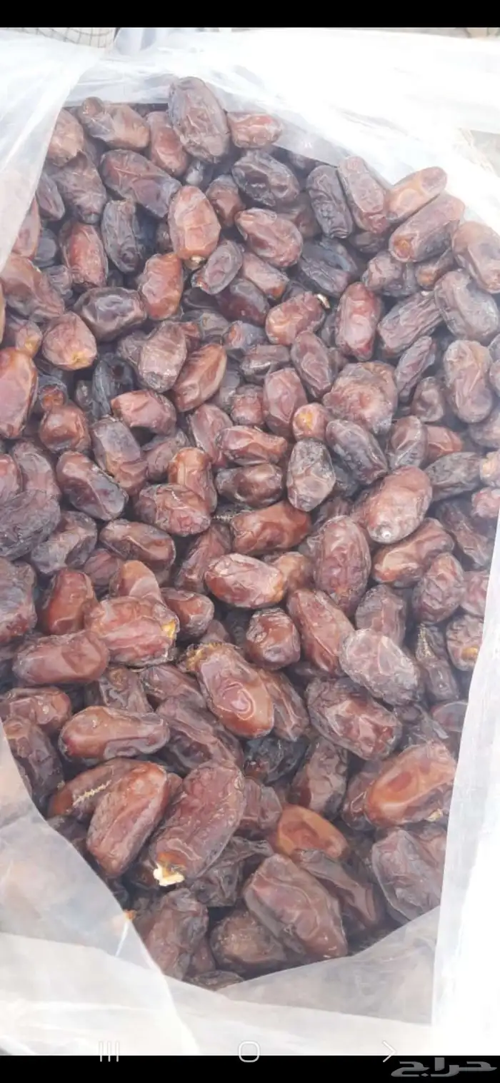 الف كرتون تمر خضري 1