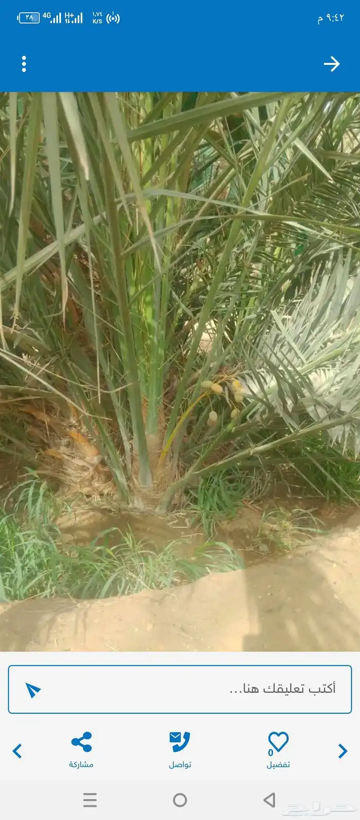 يوجد لدينا فسائل صكعي مجدولي والصناف اثانيه 4