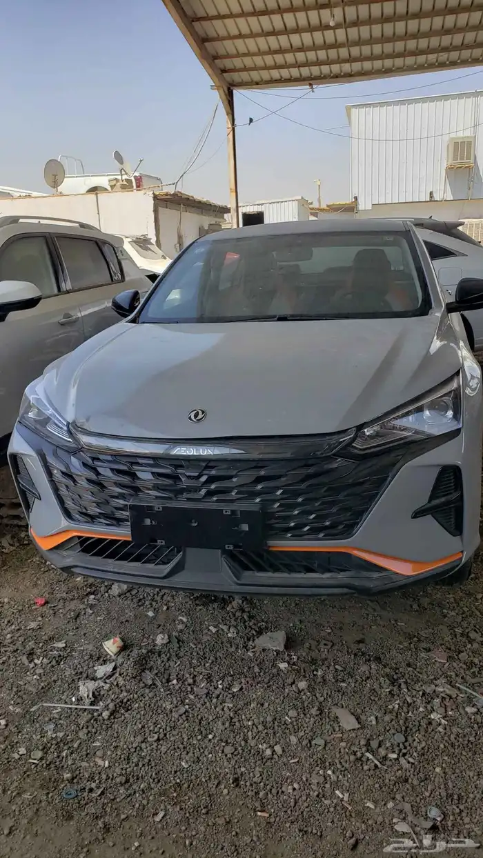 صيني دنج فنج 2024 2