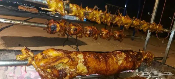 مطعم الخير يقدم خروف سيخ على الجمر 1 خروف مشوي   2   دجاج مش 6