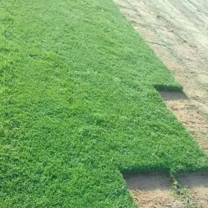 تنسيق حدائق 3