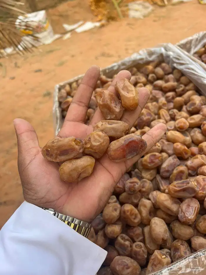 400 كرتون تمر إخلاص الجله جاهز 6