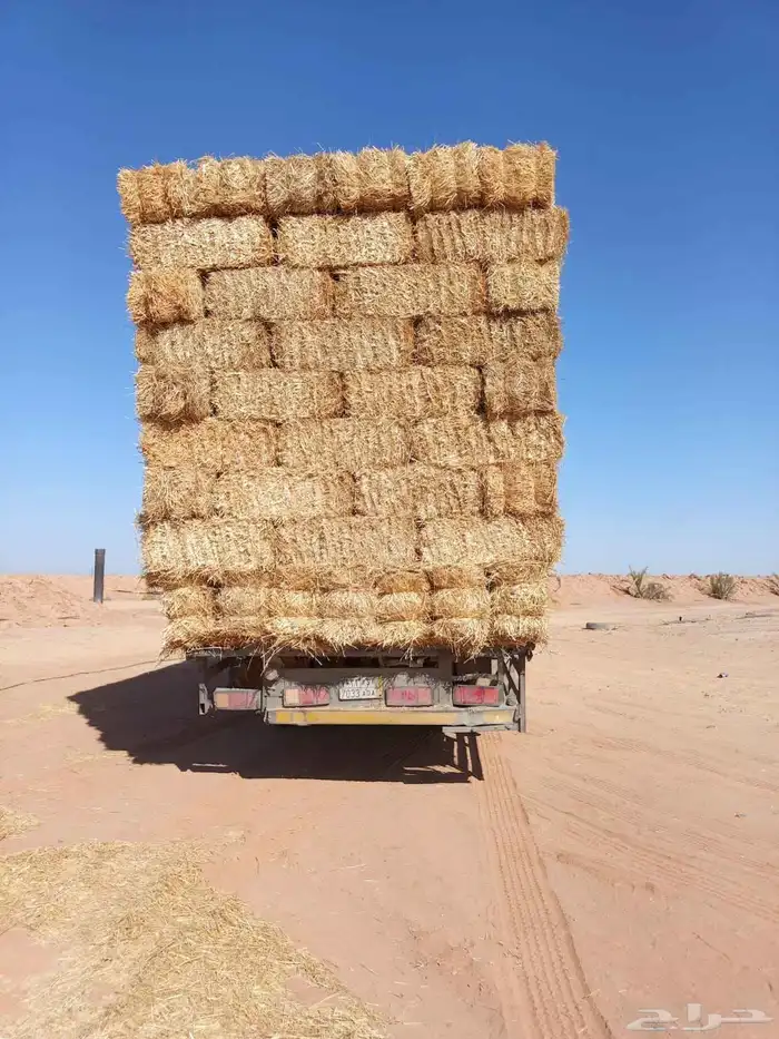 تبن جندير ناعم شد 90 وزود تبن قمح المكان طبرجل السعر 11 ريال 0