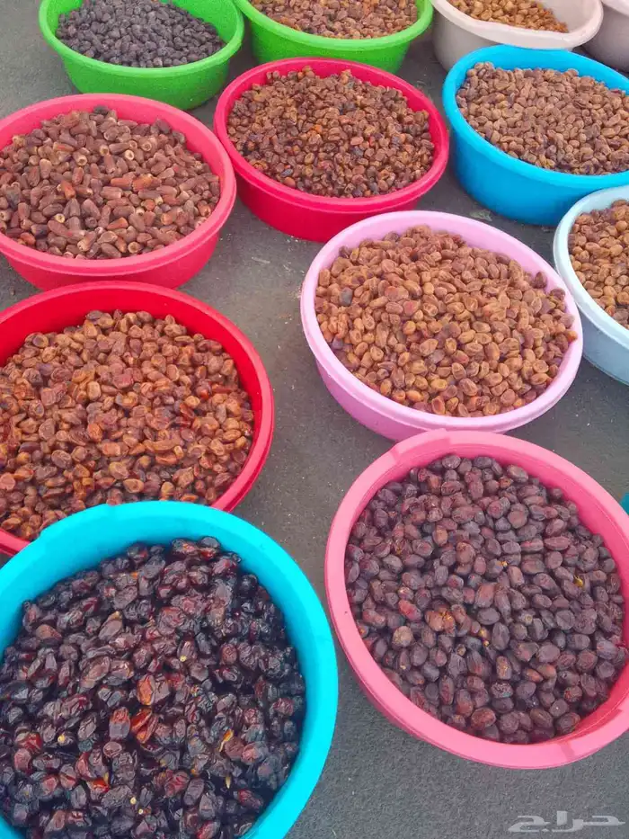 تمور حائل الفاخره 3