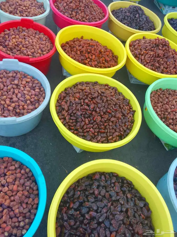 تمور حائل الفاخره 6