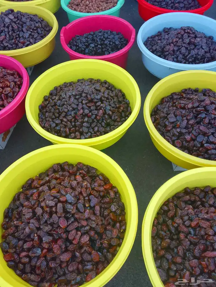 تمور حائل الفاخره 5