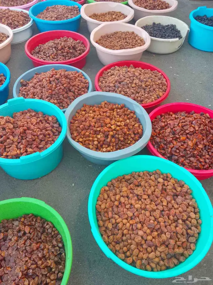 تمور حائل الفاخره 0