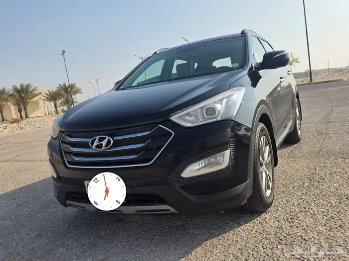 سنتافي 2014 8