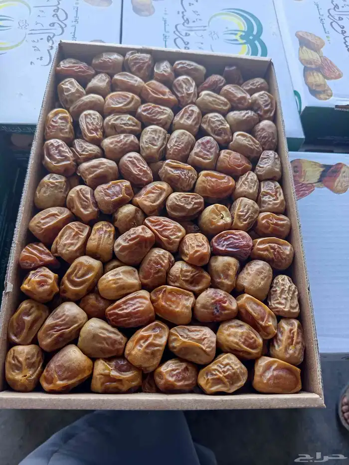 كميه كبيره من جميع الانواع 4