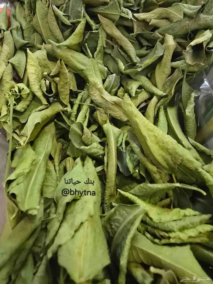 أوراق ليمون 0