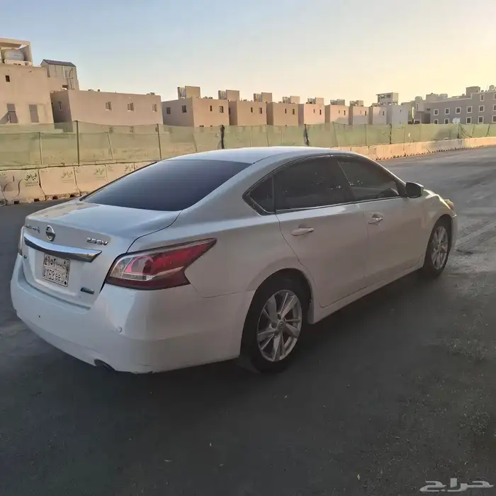 التيما 2013 5