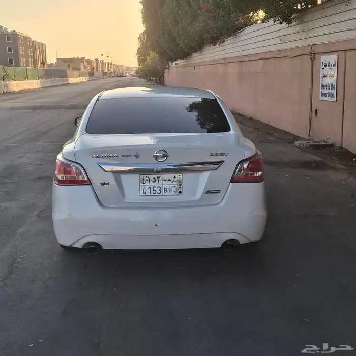 التيما 2013 6