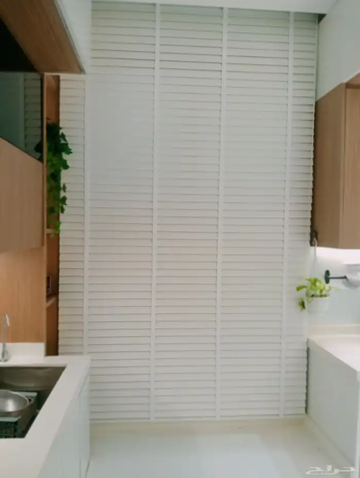 ستار  ويفي ستار  امري ي روماني رول  نب 2