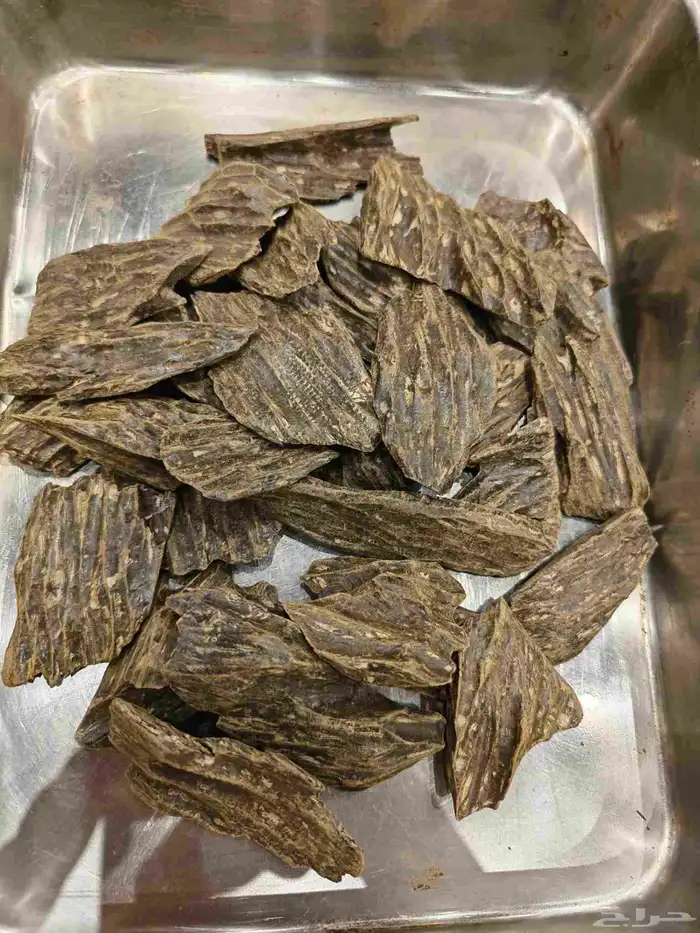 كلمنتان العود الازرق اكثر استخدام مناسبات ومكاتب وعزائم 0