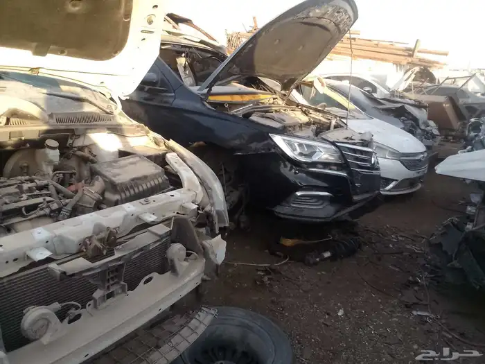 شنجان السفن 24 9