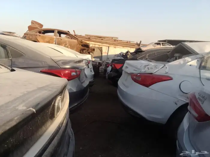 شنجان السفن 24 2