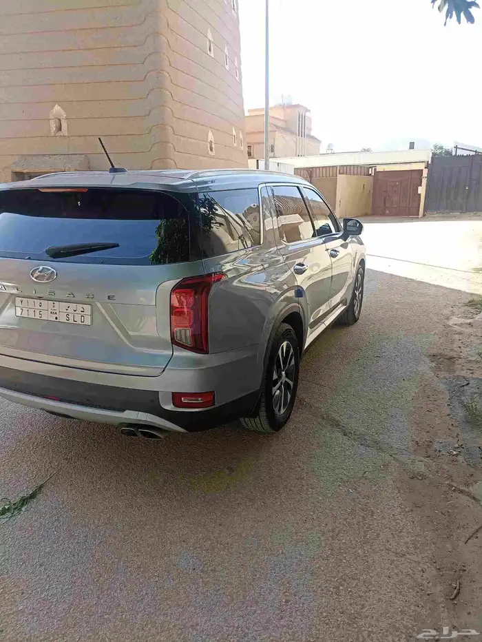 باليسيد 2020 3