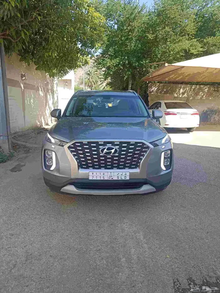 باليسيد 2020 0