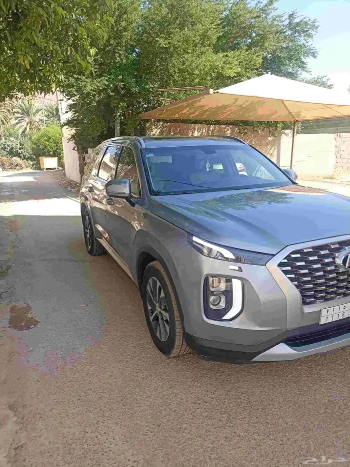 باليسيد 2020 1