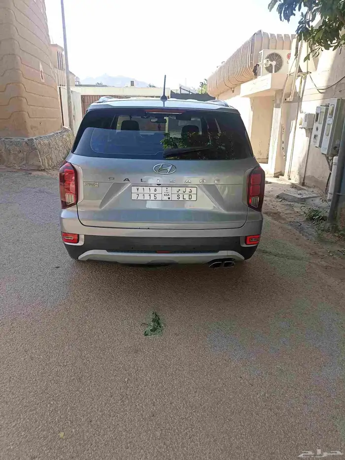باليسيد 2020 5