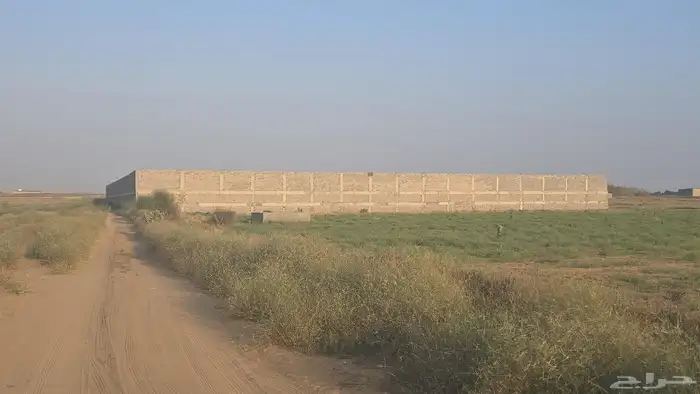 حوش كبير مسلح بالكامل للايجار مساحة 12 الف متر مربع 1