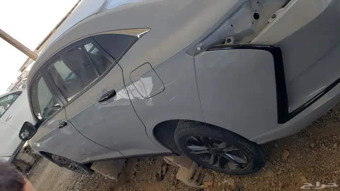 صيني دنج فنج 2024 3