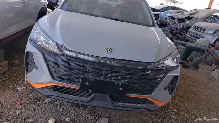 صيني دنج فنج 2024 0