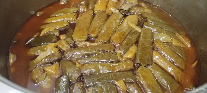 ورق عنب الدمام 1