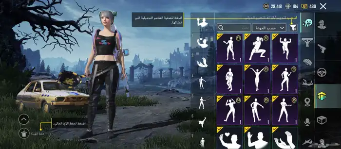 حساب ببجي 13