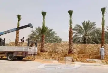 انخل للبيع جميع  النواع وجميع المقسات المختلفه دمام الجبيل 7