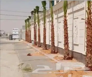 انخل للبيع جميع  النواع وجميع المقسات المختلفه دمام الجبيل 0