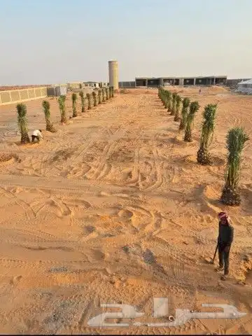 انخل للبيع جميع  النواع وجميع المقسات المختلفه دمام الجبيل 6