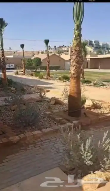 انخل للبيع جميع  النواع وجميع المقسات المختلفه دمام الجبيل 3